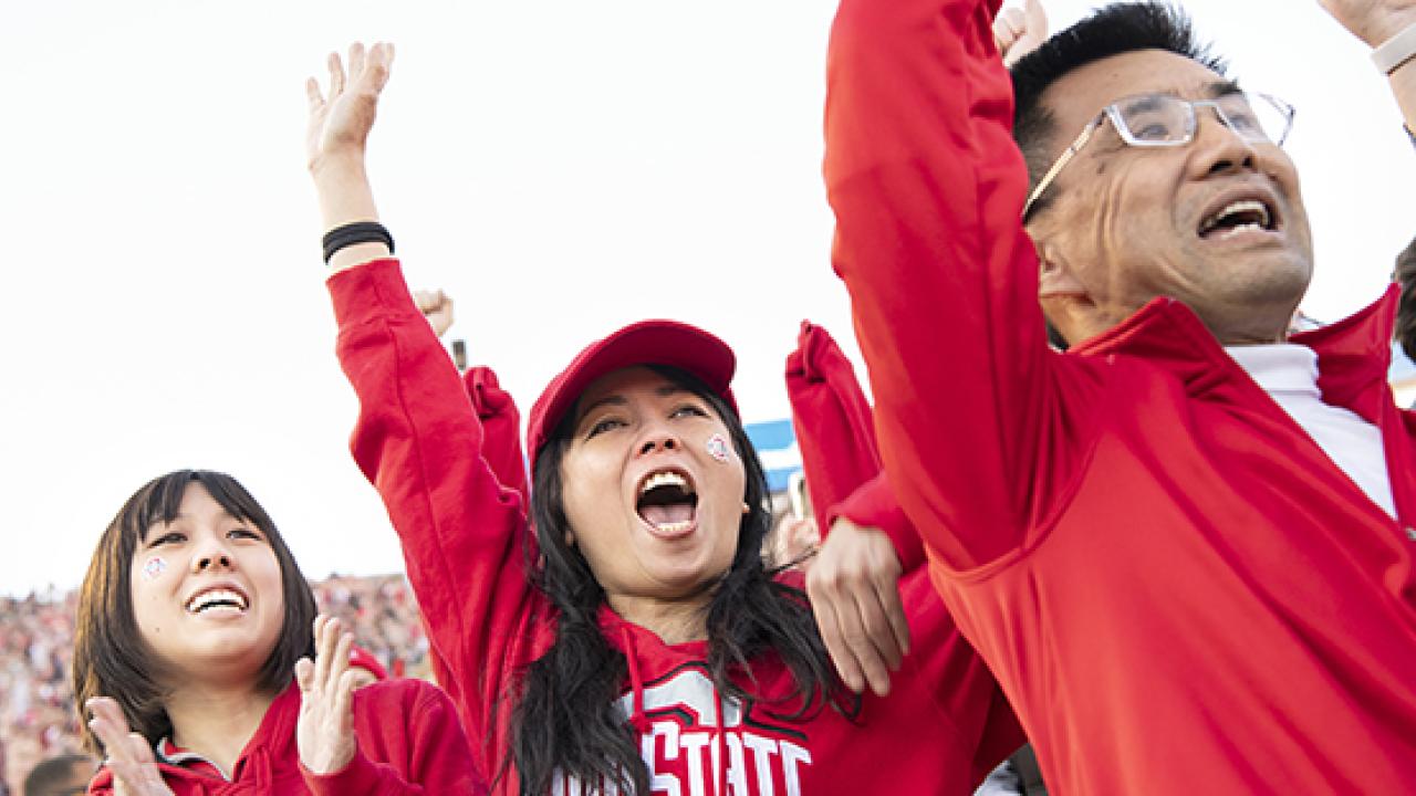 Family cheering at game at the shoe